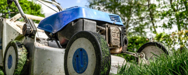 L’achat de matériel de jardinage